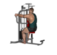 Posterior Raise - Pec Dec Machine
